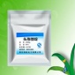 厂家** 抗感染药 72558-82-8 高含量99% 头孢他啶