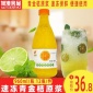 速冻青金桔原汁960ml/瓶冷冻**果肉街饮饮品烘焙瓶装奶茶店原料